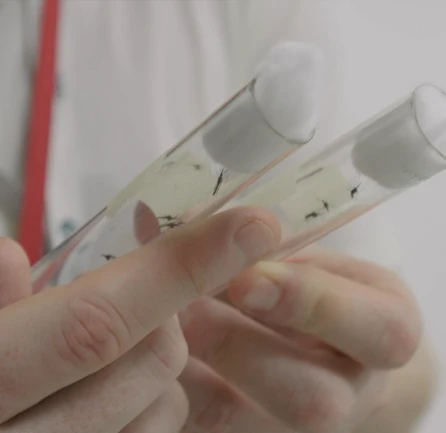 Dynamic Content Image